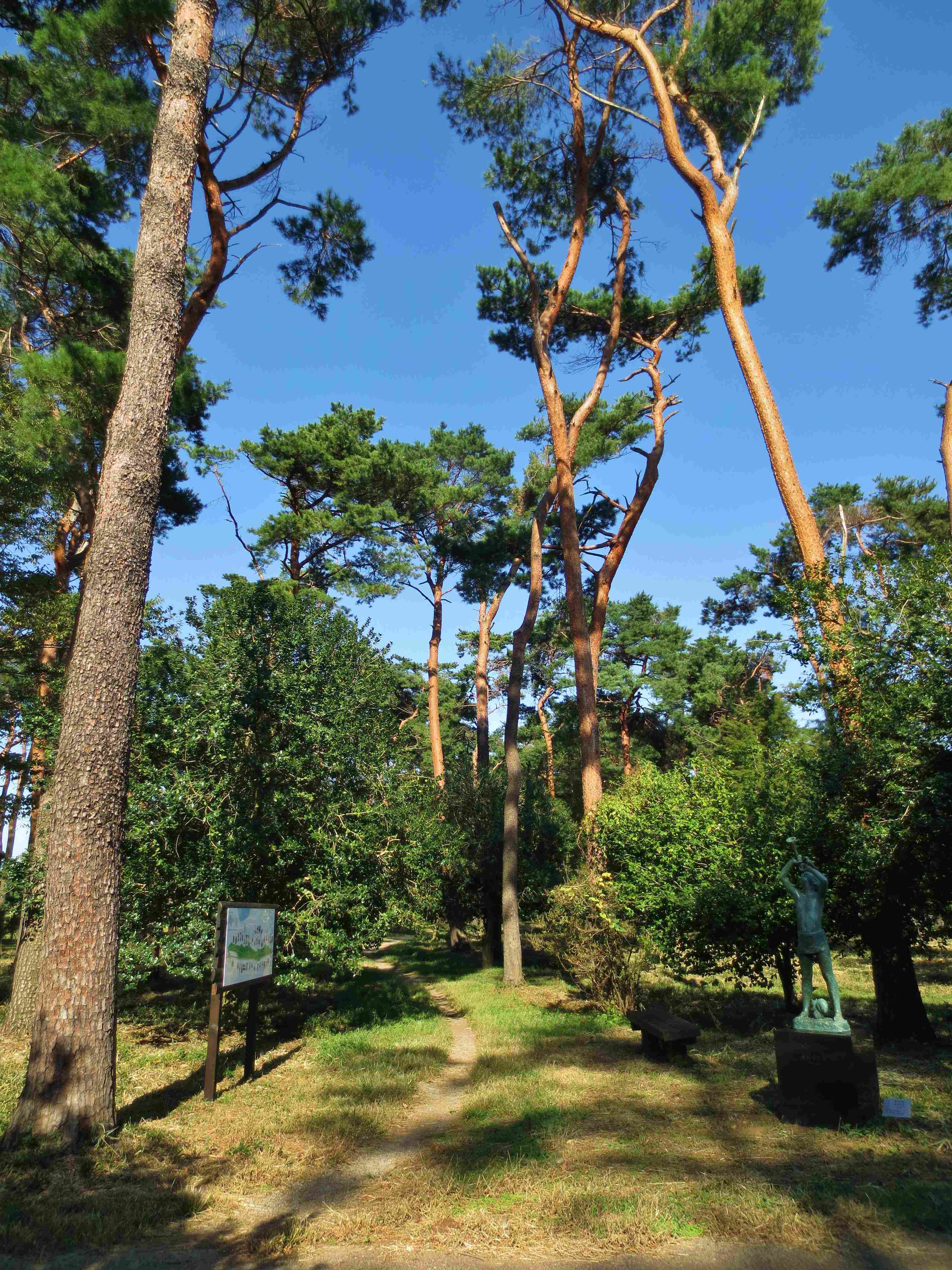 🎨 군마 현립 미술관(군마켄리츠 타테바야시 비쥬츠칸) 이미지 5